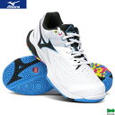 ミズノ バドミントンシューズ ウエーブファング 2 FIT 71GA231245 ユニ 男女兼用 ホワイト×ブルー バドミントン 2E 日本バドミントン協会審検定格品