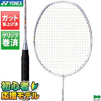 楽天市場】ナノフレア400の通販