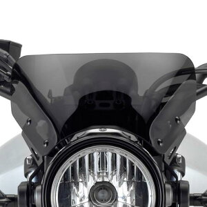 �y���X�݌ɂ���z17'�`21' XSR700 RM22J �t���C�X�N���[�� �X���[�N ���}�n����