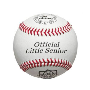 gVjA {[  1 ~Ym mizuno (1BJBL70400) y싅E\tgz 싅pi w WjA d p d