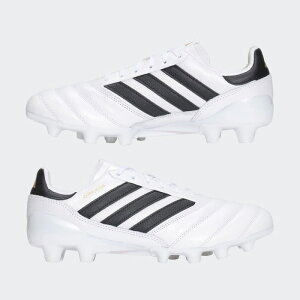 Rp ACR Wp HG/AG IG1862