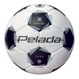 e y[_5000 LbY 4 molten TbJ[{[ JFA苅 w (F4K5000)