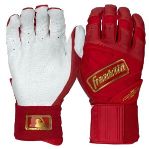 싅 Franklin POWERSTRAP p[Xgbv CtBjbgV[Y tN obeBOO[u  (20771)