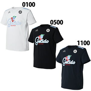 tB^ GELIDO vNeBXVc FINTA TbJ[ tbgT vVc  g[jOEFA ڐG⊴ z UVJbg MǑ΍ l WjA (FT4439)