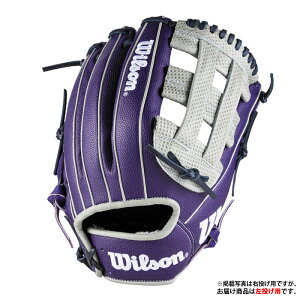 AW 一般用 W/H DUAL ユーティリティ用 DW5 Wilson 野球 ウィルソン 軟式グローブ 左投げ (WBW103815)