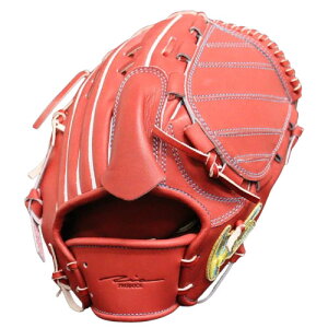 싅 IP Select dO[u  IP Select d O[u Z싅Ή sb`[ (019-AC-BBROWN)