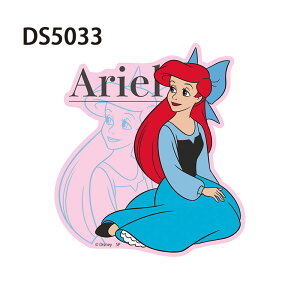 [] Disney fBYj[ vZX  AG P X̔ Vf KX̌C  p\R gNP[X lC v[g LN^[XebJ[ V[ DS5031_DS503