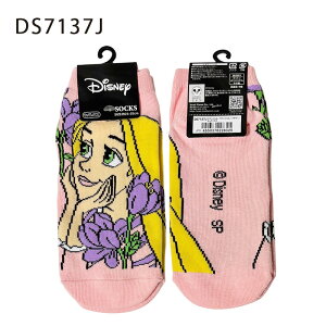 12/4`11X[p[Z[ [] Disney fBYj[ ̏̃vcF t[ LbNX \bNX C 23cm`25cm DS7137J X[Evlbg fB[X 