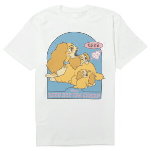 12/4`11X[p[Z[ [] Disney fBYj[ NOSTALGICA 100V[Y fB 񕨌 TVc LTCY DS4091N X[Evlbg