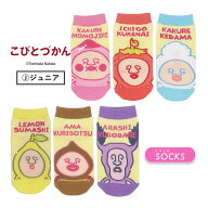 [公式] こびとづかん キャラックス ジュニア 靴下 15~21cm MW1091J_MW1096J スモール・プラネット カクレ…
