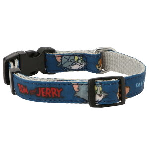 y{|Cg10{z_tf[ [] gƃWF[ ybgp  S MTCY WB1219_WB1220 X[Evlbg