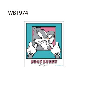 [] [j[Ee[Y LOONEY TUNES gDC[eB[ S T[N ܂ ʐ^ M^[ gDC[eB[VxX^[ LN^[XebJ[ V[ WB1971_WB1976 X[Evlbg 