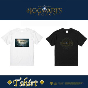 12/13�`15�����|�C���g�o�b�N�� [����] �n���[�E�|�b�^�[ �z�O���[�c�E���K�V�[ Hogwarts Legacy T�V���c WB2062_WB2063 �X���[���E�v���l�b�g �z�O���[�c���@���p�w�Z J�EK�E���[�����O �Q�[�� �� �� 