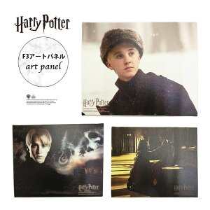 �y�|�C���g10�{��2/19-2/23 ���������}���\���z[����] �n���[�E�|�b�^�[ �u���b�N���n���[ �h���R�E�}���t�H�C winter SLYTHERIN F3�A�[�g�p�l�� WB2259PP_WB2261PP �X���[���E�v���l�b�g �n���|�^ HarryPott