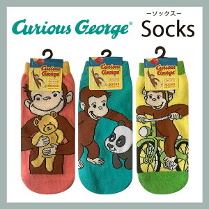 [] ̃W[W h܂̂ʂ W[Wƃp_ TCNO fB[X\bNX 23cm`25cm CG3515J_CG3517J X[Evlbg