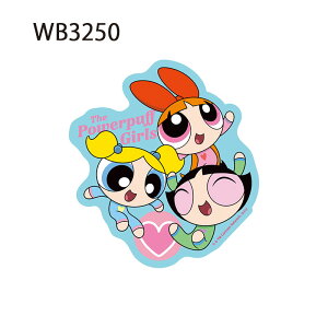 129ȍ~ 12/4`11X[p[Z[ [] p[ptK[Y The Powerpuff Girls n[g pW} Ȃ悵 LN^[XebJ[ WB3249_WB3251 X[Evlbg ubT ou
