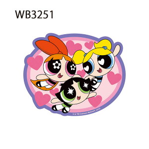 129ȍ~ 12/4`11X[p[Z[ [] p[ptK[Y The Powerpuff Girls n[g pW} Ȃ悵 LN^[XebJ[ WB3249_WB3251 X[Evlbg ubT ou