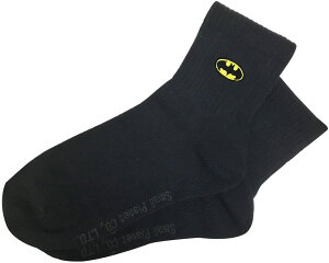 [] DCR~bNX obg} |CghJ\bNX obh} lCr[ 22cm`24cm WBBT555J X[Evlbg