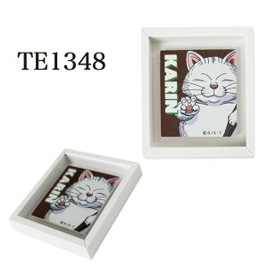 [] hS{[ DRAGONBALL _ J st剤 t[}Olbg TE1347_TE1349 X[Evlbg oC R  z