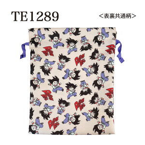 [] hS{[ DRAGONBALL  Q  gxВ 傫߃TCY |GXe TE1289_TE1290 X[Evlbg oC R  wZ ۈ牀 ct wZ