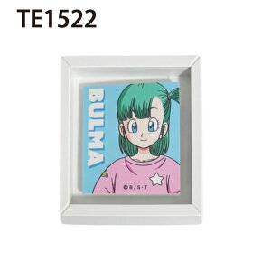 [] hS{[ DRAGONBALL  u} Lq v[A E[ t[}Olbg TE1557_TE1525 X[Evlbg R  z CeA Mtg v[g