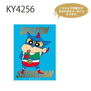 [] N񂿂 ANVʃJ[h |[Y no[K[ 킹 t 񂿂 LN^[XebJ[ V[ KY4255_KY4260 X[Evlbg ̂ Ԃ