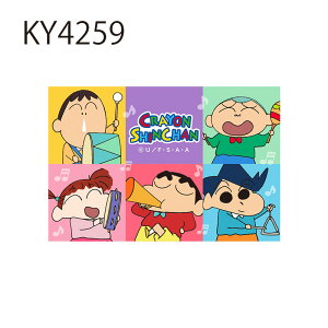 [] N񂿂 ANVʃJ[h |[Y no[K[ 킹 t 񂿂 LN^[XebJ[ V[ KY4255_KY4260 X[Evlbg ̂ Ԃ