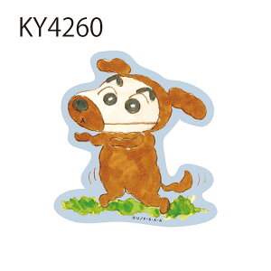 [] N񂿂 ANVʃJ[h |[Y no[K[ 킹 t 񂿂 LN^[XebJ[ V[ KY4255_KY4260 X[Evlbg ̂ Ԃ