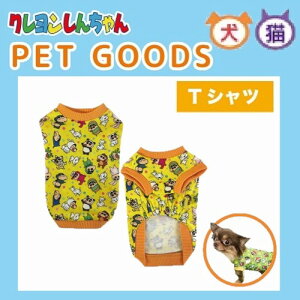 12/4`11X[p[Z[ [] N񂿂 Ȃ肫肵񂿂 ybgp TVc gbvX KY2019_KY2020 X[Evlbg