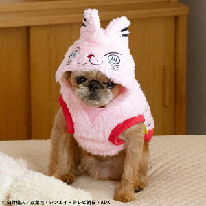 12/4`11X[p[Z[ [] N񂿂 ctoX ybgp  KY2037_KY2038 X[Evlbg ybgpi m RX`[EFA  L