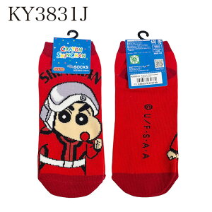 12/4`11X[p[Z[ [] N񂿂 񂿂 Ԃ ll }TI {[ q[[ LN^[\bNX LbNX C 23~25cm KY3831J_KY3835J X[