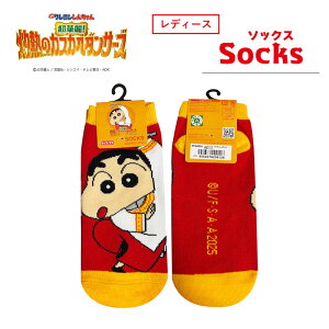 12/4`11X[p[Z[ [] N񂿂 f2025 LN^[\bNX LbNX C 23~25cm KY4460J X[Evlbg LN^[ ̂ P Vl