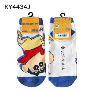 yBF |Cg10{ vGg[ ~11/27 1:59z[] N񂿂  ق Wv ԂԂ肴 LN^[\bNX LbNX C 23~25cm KY4432J_KY4435J X[Evl