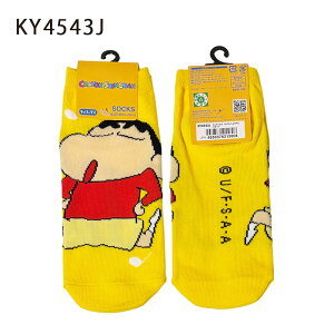 12/4`11X[p[Z[ [] N񂿂 TYAbv XLbv L[  LbNX \bNX C 23cm`25cm KY4542J_KY4545J X[Evlbg fB?X 쌴̂