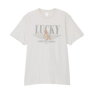 12/4`11X[p[Z[ [] MARVEL }[x z[NAC^sUhbO TVc SP2868PPgbvX X[Evlbg zCg hawkeye