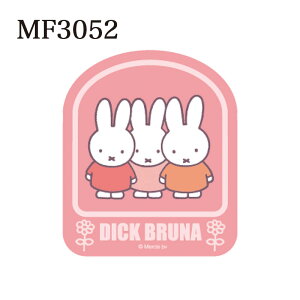 12/4`11X[p[Z[ [] ~btB[ fBbNEu[i S }t[ l  xbh ~btB[Ƃ   LN^[XebJ[ MF3050_MF3055 X[Evl