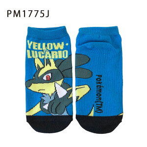 12/4`11X[p[Z[ [] |PbgX^[ LvesJ`E FJI ~~ tFCX LN^[\bNX LbNX WjA C 15`21cm PM1774J_PM1777J X[