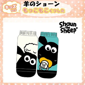 ~[] Ђ̃V[ [ zCg eB~[ u[ C LbY\bNX 13cm`18cm TH1007J_TH1008J X[Evlbg ₦   lC ۂۂ