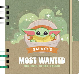 ★[公式] STAR WARS スター・ウォーズ CUTEST グローグー スクエアリングノート 2024東京コミコン先行 RTDSIR635