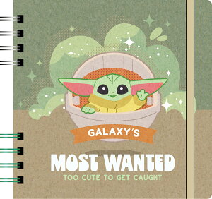 [] STAR WARS X^[EEH[Y CUTEST O[O[ XNGAOm[g 2024R~Rs RTDSIR635