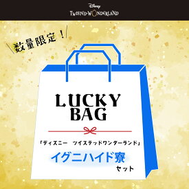 【福袋】2026 ディズニー ツイステッドワンダーランド イデア オルト 雑貨 スペシャルセット イグニハイド 送料無料