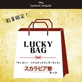 【福袋】2026 ディズニー ツイステッドワンダーランド カリム ジャミル 雑貨 スペシャルセット スカラビア 送料無料