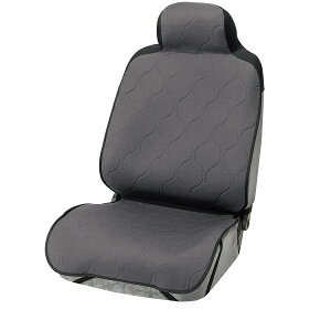 RۖhLHς ^]ȁEȌpV[gJo[ wJWALgx_[NO[i1ȕj