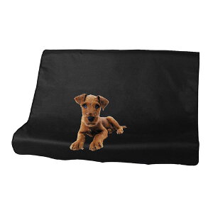 hEhV[gJo[ whCrOV[gxȗp1 (Jo[2t)