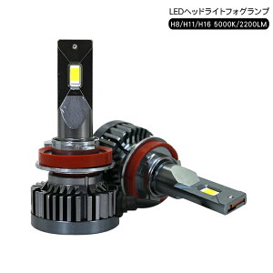 LEDwbhCg LEDou 2200[ t@t H8 H11 H16 5000K 12V tHOv wbhv oCN