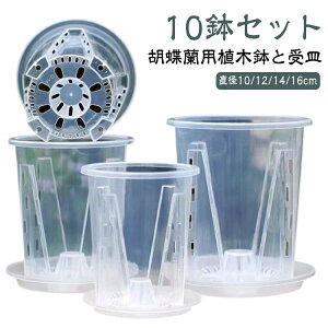 ϗtA  Ӓ̐Aւ c|bg Aؔ t 10Zbg  O vX`bN ̔  Mt I[Lbh|bg I[Lbhv^[ 10Zbg Aؔ A m