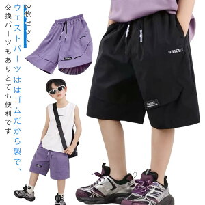 q LbY 110 Y{ j̎q hC n[tpc n WjA {gX ̎q J[Sn[tpc _X X|[c 2Zbg bV ^ [EFA    