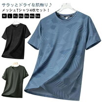 楽天市場】tシャツ 4枚の通販
