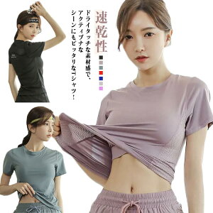 gbvX   W bV z X|[cEFA UVPA ڐG⊴  TVc hC X|[cEFA n 炳  tBbglXEFA K fB[X EH[LO