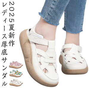  T_ fB[X ėp }WbNe[v X|[cT_ Xj[J[T_ y ₷ X|T JWAV[Y bV Ȃ ʋC Ȃ T_ fC